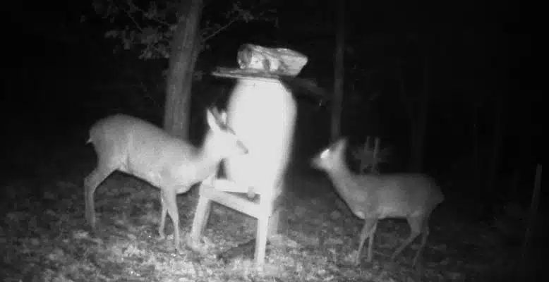 blink camera infrared