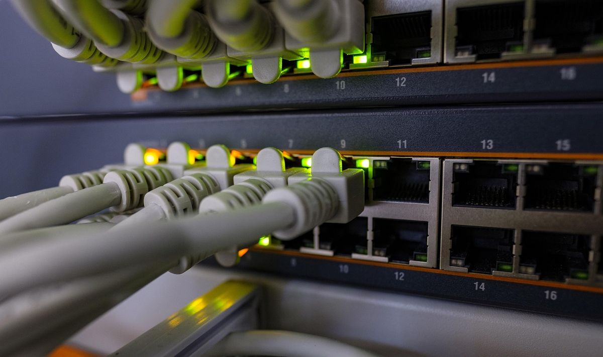 Network cables plugged into a switch, representing the local and cloud connection behind camera subscription plans